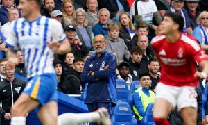 0e531490-fc0c-4e71-9943-292c186c3f0a