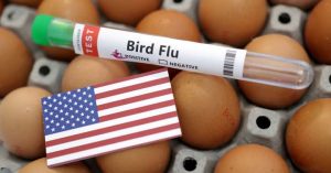 16f8df67-5976-464e-9403-b03cd306243c