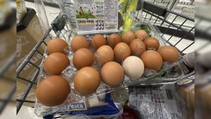 1f3a13e9-7f37-41cf-a6f3-2fd00c3f5575