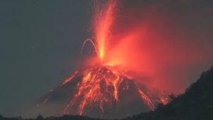 25201d2a-5339-4612-a0d3-0967d5aba3dc