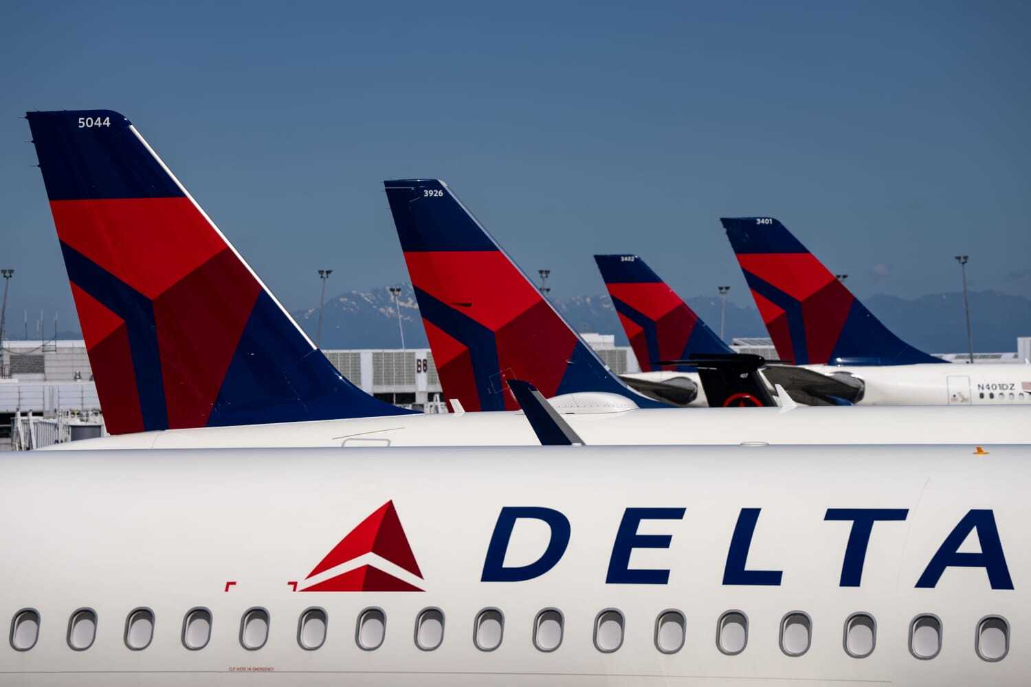 DELTA AIR LINES CUTS Q1 PROFIT FORECAST IN HALF, SHARES PLUNGE 14%