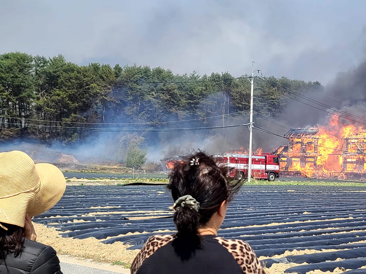 63747de9-126e-4bf0-b9da-6e6a7eb4e7ae