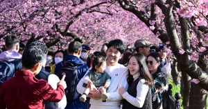 c9f0c04c-06cd-4cde-9709-0fd62ac0c0e0