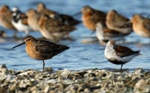 e1279502-f5f0-473d-b37d-913f8be46f56