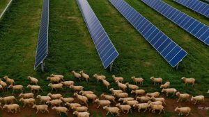 efdfe098-155b-4705-b655-3d2e71d4da06