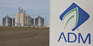 eff47ea8-bd81-45dc-93c6-c06da39c4aa9