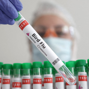 3ca163a2-e4fc-4d2e-b8d8-58f0b5958240