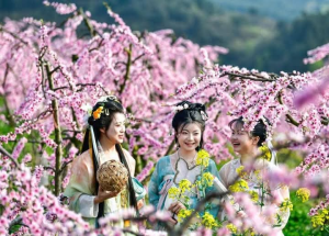 66551ae9-69ec-477a-ad3b-0fefcd67608c