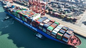 WhatsApp Image 2025-04-21 at 2.45.02 PM