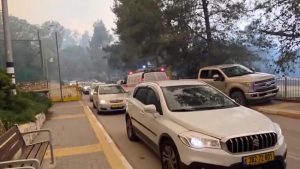 WhatsApp Image 2025-04-24 at 3.07.20 PM