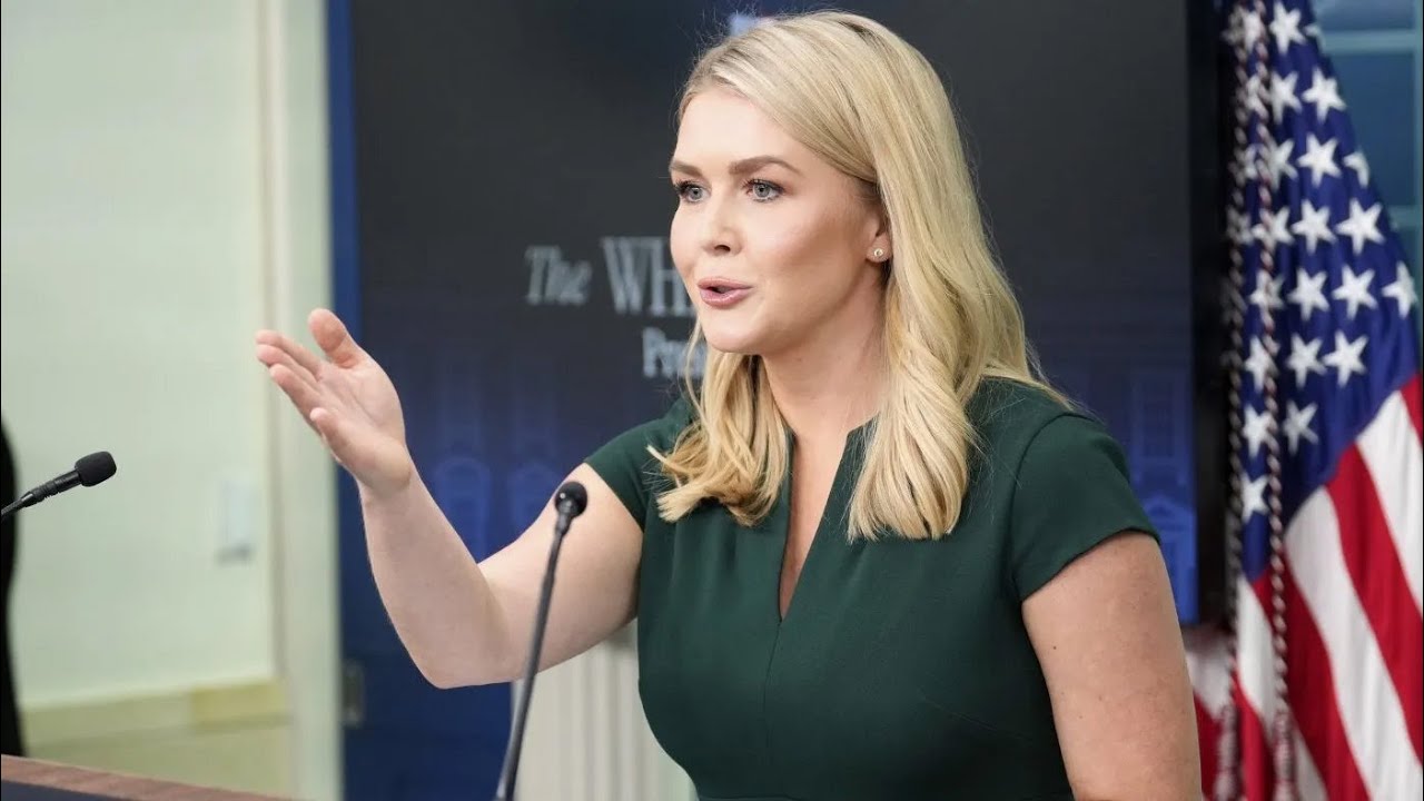 WhatsApp Image 2025-04-24 at 3.16.54 PM