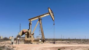 WhatsApp Image 2025-04-25 at 3.22.56 PM