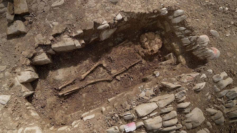 WhatsApp Image 2025-04-25 at 3.25.27 PM