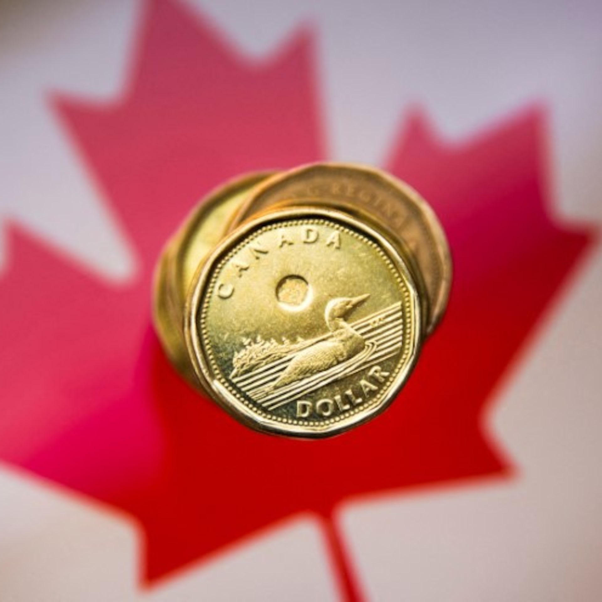 WhatsApp Image 2025-04-26 at 4.16.08 PM