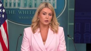 WhatsApp Image 2025-04-29 at 12.02.02 PM