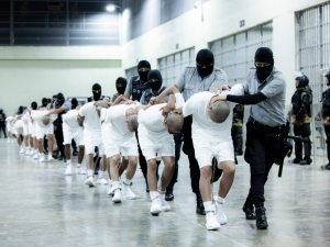 e6a40325-5d89-449f-8add-cac2ba82dc5a