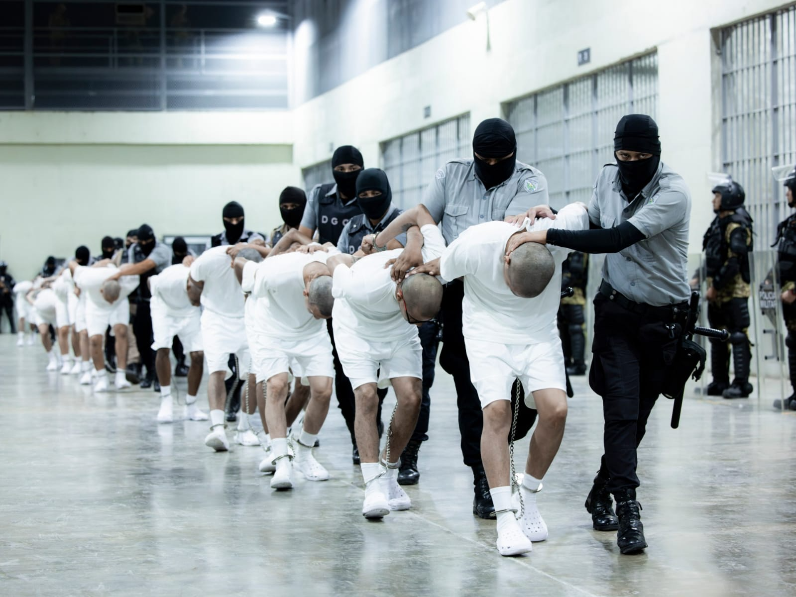 e6a40325-5d89-449f-8add-cac2ba82dc5a