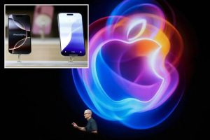 WhatsApp Image 2025-05-02 at 2.50.24 PM