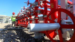 WhatsApp Image 2025-05-02 at 2.51.07 PM