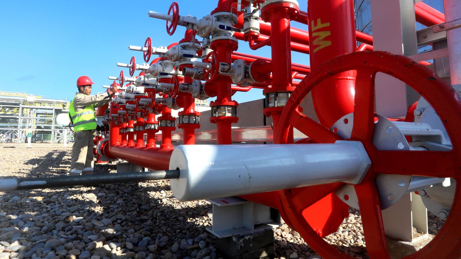 WhatsApp Image 2025-05-02 at 2.51.07 PM