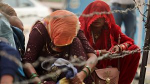 WhatsApp Image 2025-05-02 at 2.59.25 PM