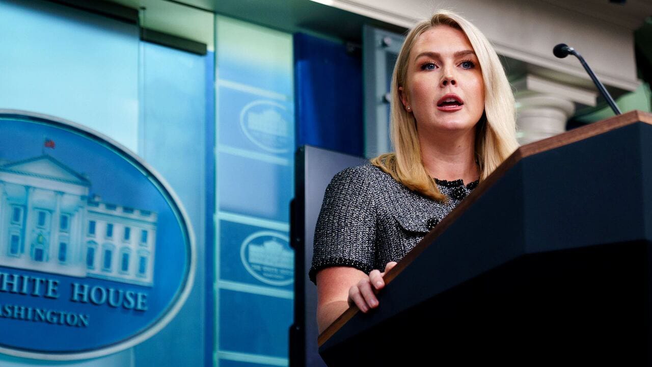 WhatsApp Image 2025-05-02 at 3.09.06 PM