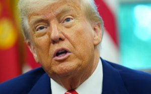 WhatsApp Image 2025-05-12 at 3.24.11 PM