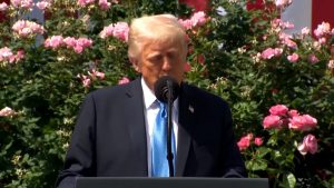 WhatsApp Image 2025-05-20 at 12.51.19 PM