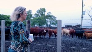 WhatsApp Image 2025-05-20 at 12.53.01 PM