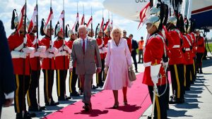 WhatsApp Image 2025-05-27 at 6.50.56 PM