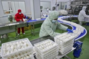 WhatsApp Image 2025-06-03 at 3.28.16 PM