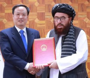 WhatsApp Image 2025-06-04 at 3.41.09 PM