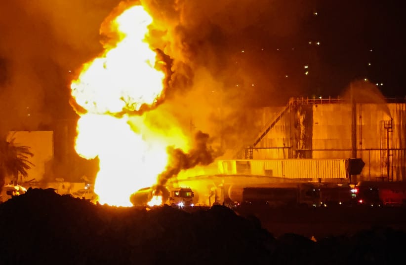 WhatsApp Image 2025-06-17 at 2.58.59 PM