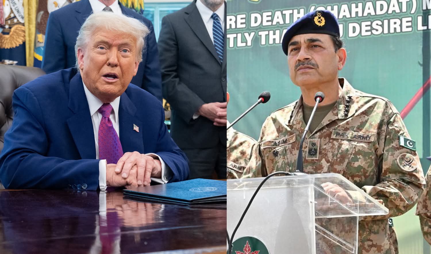 WhatsApp Image 2025-06-19 at 3.50.41 PM