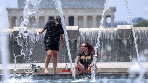 WhatsApp Image 2025-06-25 at 6.00.59 PM