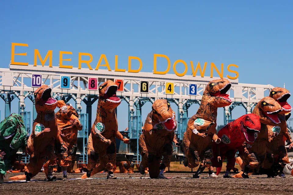 WhatsApp Image 2025-07-01 at 3.22.36 PM