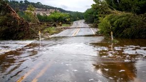 WhatsApp Image 2025-07-08 at 4.58.09 PM