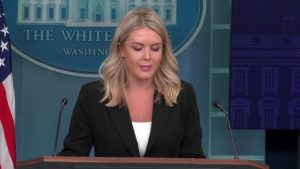 WhatsApp Image 2025-07-08 at 4.59.49 PM