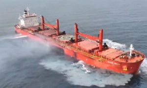 WhatsApp Image 2025-07-09 at 4.30.20 PM