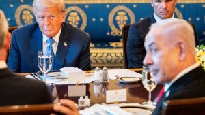 WhatsApp Image 2025-07-10 at 2.46.07 PM