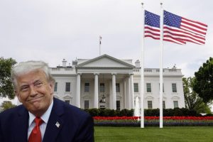 WhatsApp Image 2025-07-11 at 3.52.50 PM