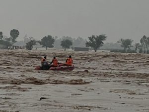 WhatsApp Image 2025-07-18 at 3.05.55 PM