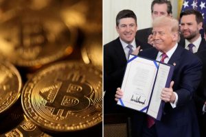 WhatsApp Image 2025-07-19 at 2.24.23 PM