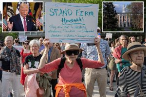 WhatsApp Image 2025-07-22 at 4.18.04 PM