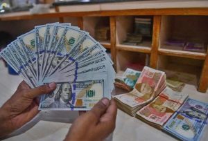 WhatsApp Image 2025-07-25 at 4.40.40 PM