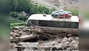 WhatsApp Image 2025-07-26 at 3.00.33 PM