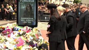 WhatsApp Image 2025-07-31 at 2.43.55 PM