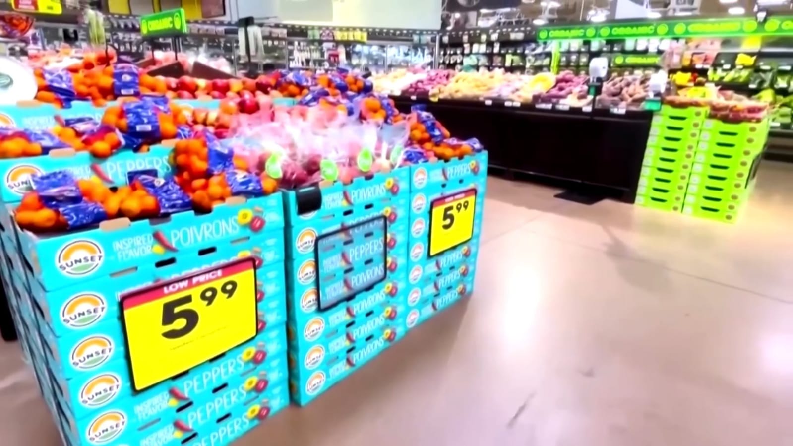 WhatsApp Image 2025-08-13 at 4.02.50 PM