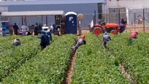 WhatsApp Image 2025-08-13 at 4.09.33 PM (1)