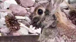 WhatsApp Image 2025-08-13 at 4.48.42 PM